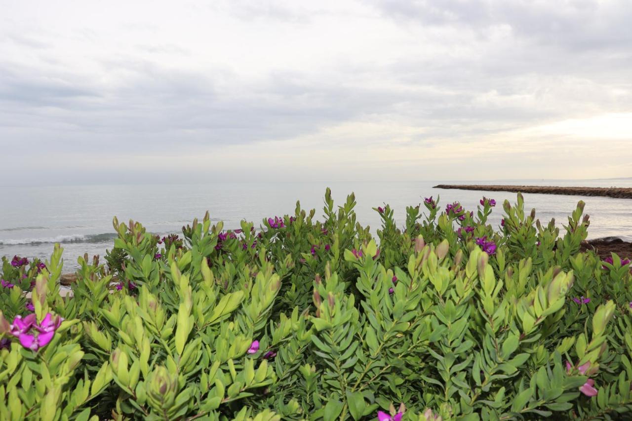 Carmen Apartments With Sea View Near Alicante サンタ・ポラ エクステリア 写真